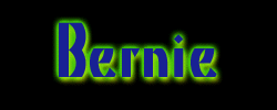 bernie1.gif (5349 Byte)